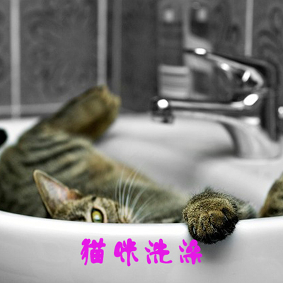 石家庄宠物医院 石家庄宠物医院