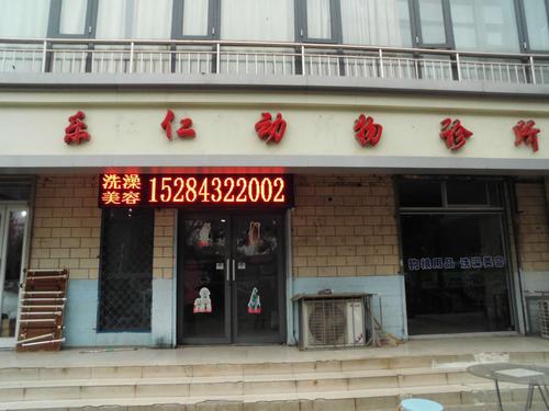 石家庄开发区宠物医院 石家庄开发区宠物医院