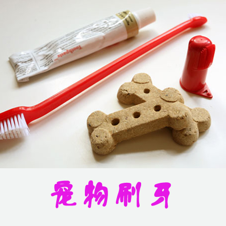 石家庄宠物医院 石家庄宠物医院